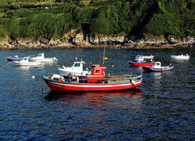 turismo de pesca en galicia