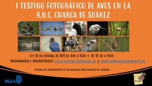 I Testing Fotográfico R.N.C. Charca de Suárez