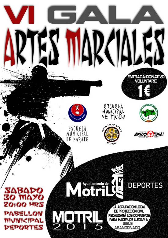 VI Gala de Artes Marciales 2015