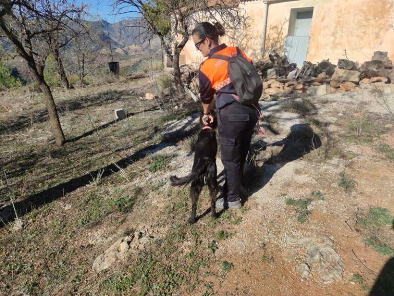 La Unidad Canina de Protección Civil de Motril se suma a la búsqueda de la persona desaparecida en Guájar Faragüit