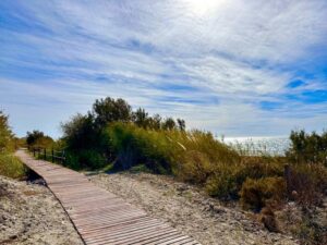 La playa de las Azucenas finaliza sus obras de mejora y ampliación con el objetivo de transformarse en una reserva natural