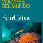 Colores del mundo