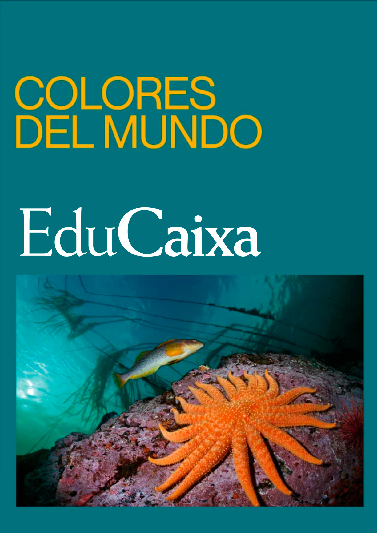 Colores del mundo