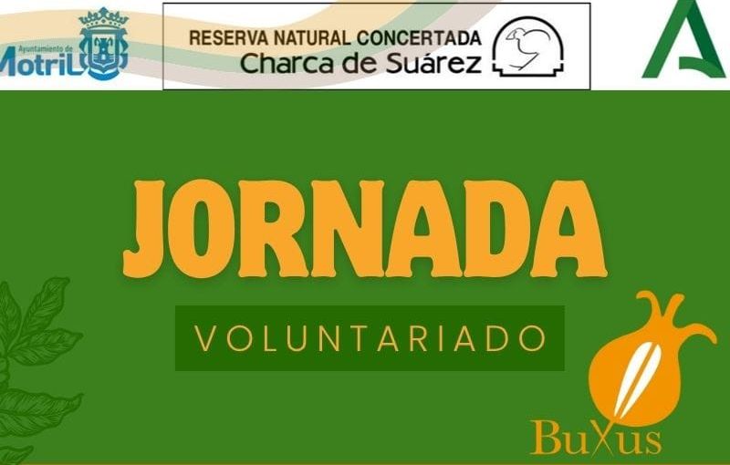 Jornada de Voluntariado Ambiental en la Charca de Suárez