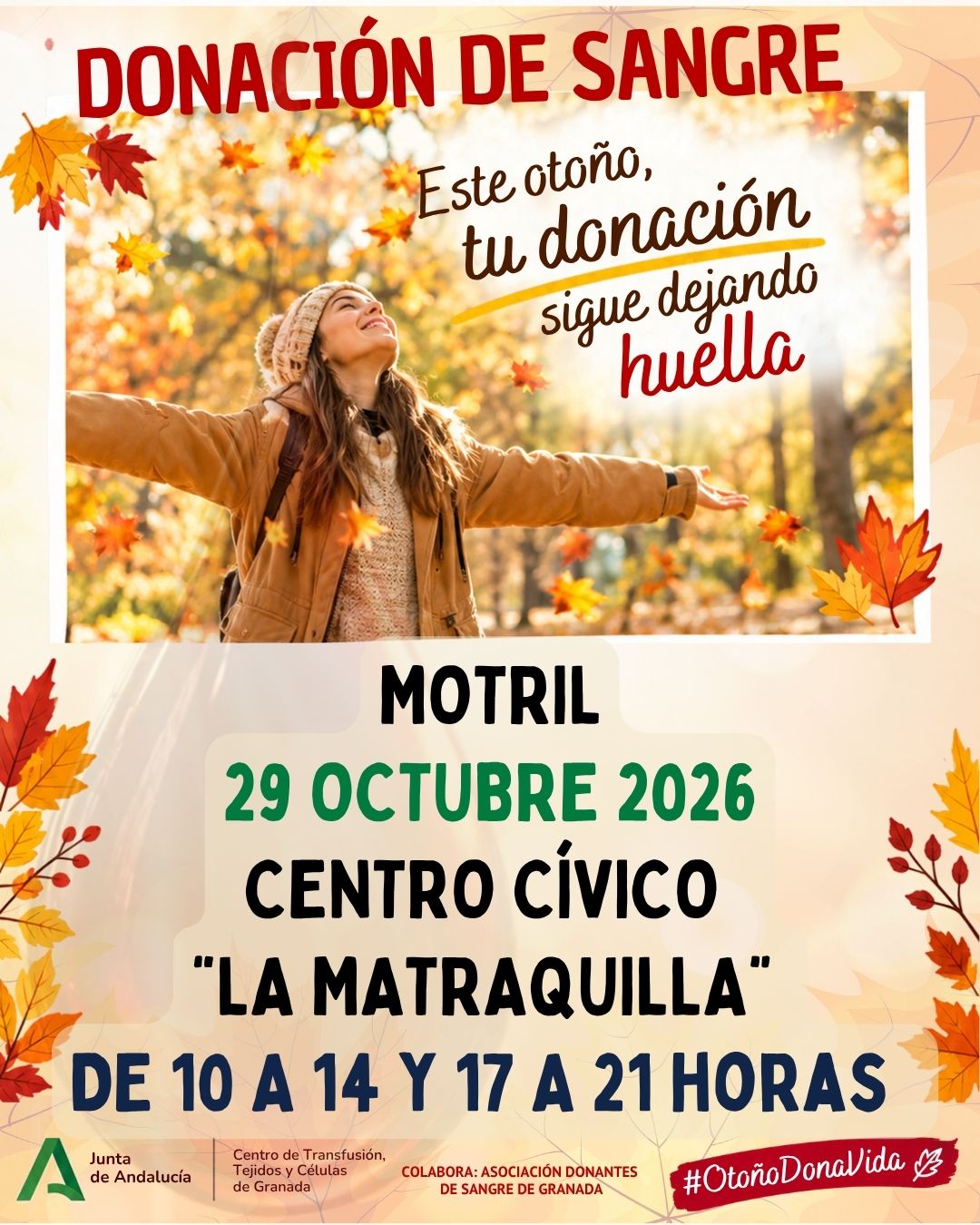 Donación de Sangre